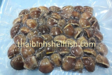 BEST QUALITY FROZEN WHOLE BROWN CLAM SHELL ON